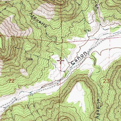 Topographic Map of Caon Arguella, NM
