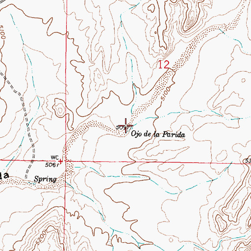 Topographic Map of Ojo de la Parida, NM