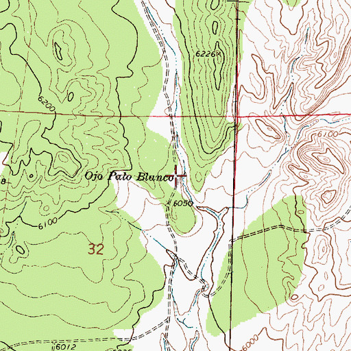 Topographic Map of Ojo Palo Blanco, NM