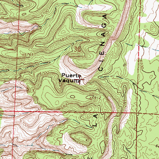 Topographic Map of Puerto Vaquita, NM