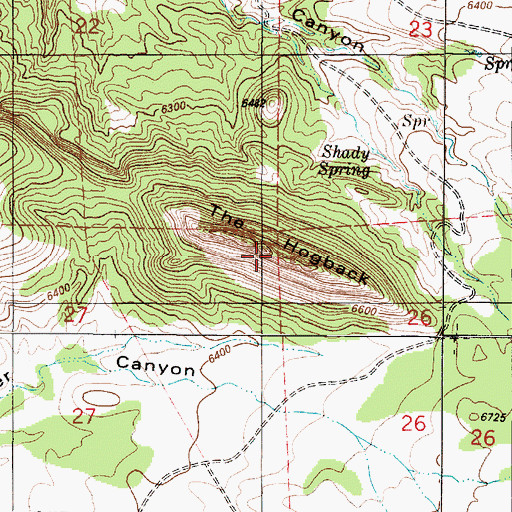Topographic Map of The Hogback, NM