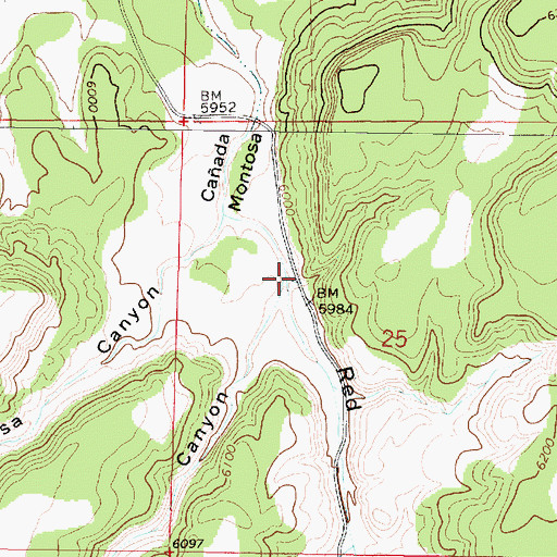 Topographic Map of Pelon Canyon, NM