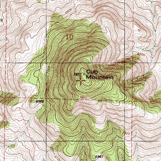Topographic Map of Cub Mountain, NM