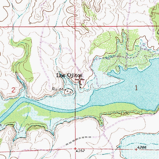 Topographic Map of Los Ojitos, NM