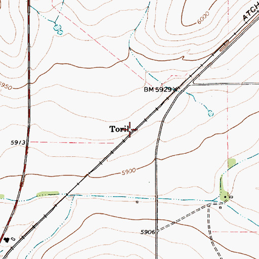 Topographic Map of Toril, NM