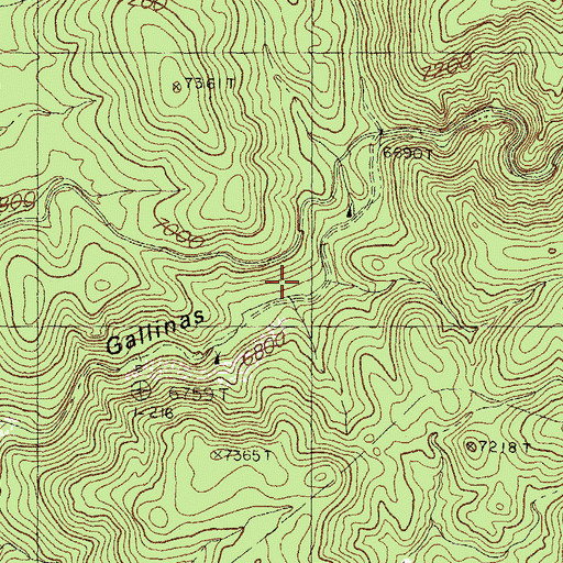 Topographic Map of Gallinas Recreation Area, NM