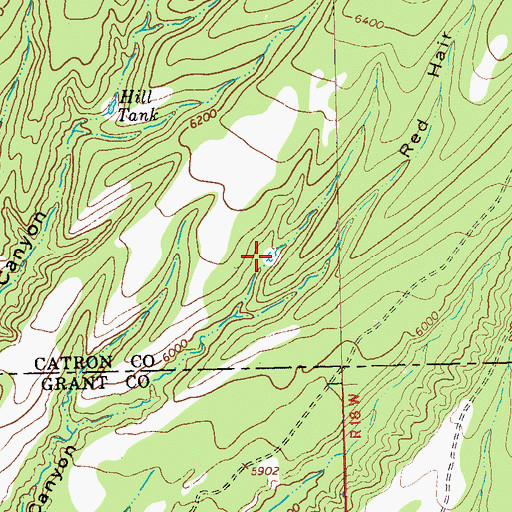 Topographic Map of Cub Tank, NM
