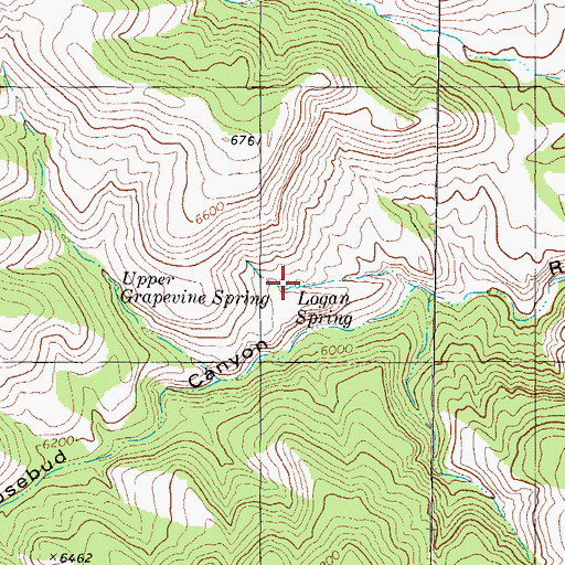 Topographic Map of Logan Spring, NM
