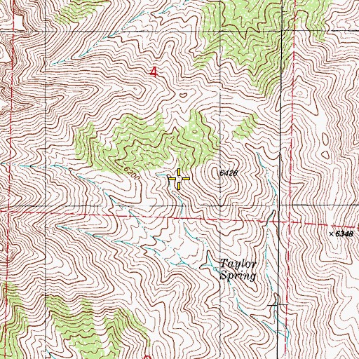 Topographic Map of Taylor Spring, NM