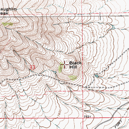 Topographic Map of Black Hill, NM