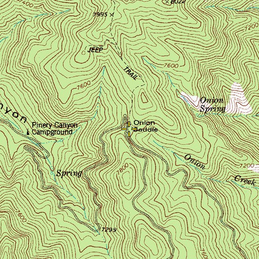 Topographic Map of Onion Saddle, AZ