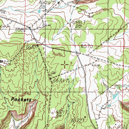 Topographic Map of Beanie Pockets Spring, NM
