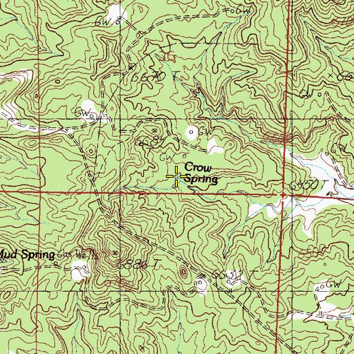 Topographic Map of Crow Spring, NM