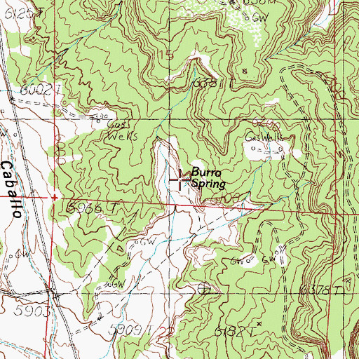Topographic Map of Burro Spring, NM