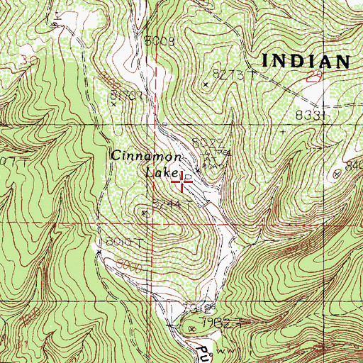 Topographic Map of Cinnamon Lake, NM