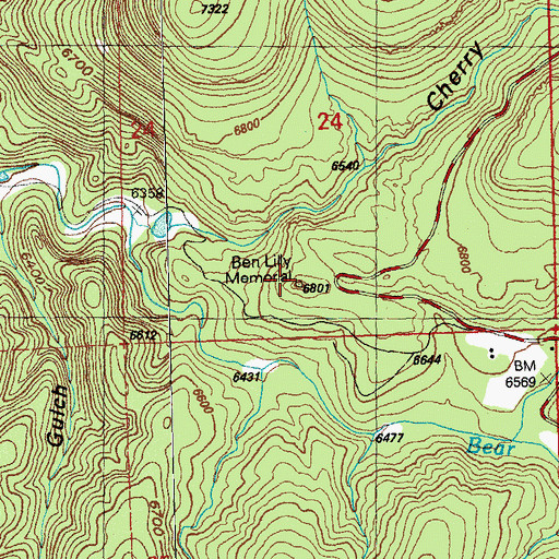 Topographic Map of Ben Lilly Memorial, NM