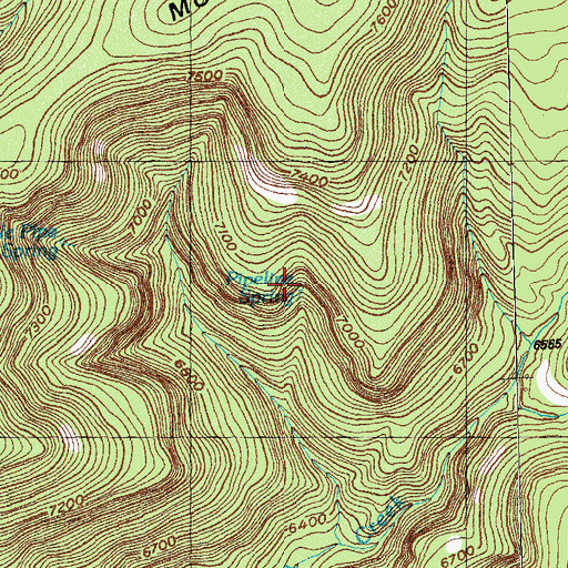 Topographic Map of Pipeline Spring, NM