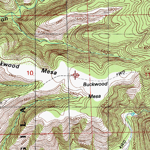 Topographic Map of Buckwood Mesa, NM