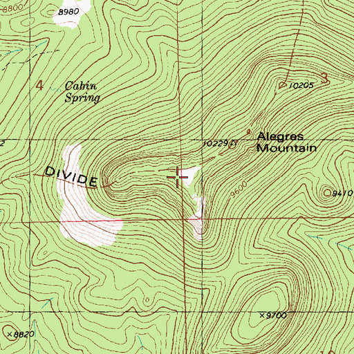 Topographic Map of Alegres Mountain, NM