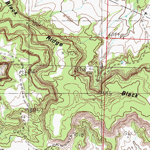 Topographic Map of Black Ridge, NM