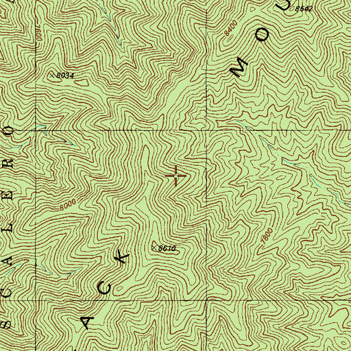 Topographic Map of Mustang Spring, NM