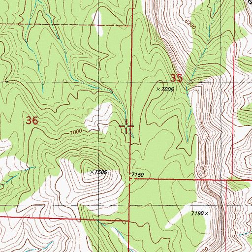 Topographic Map of Panther Canyon, NM