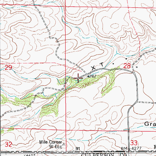 Topographic Map of X T Ranch, NM