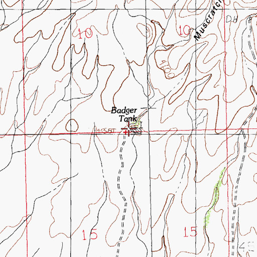 Topographic Map of Badger Tank, NM