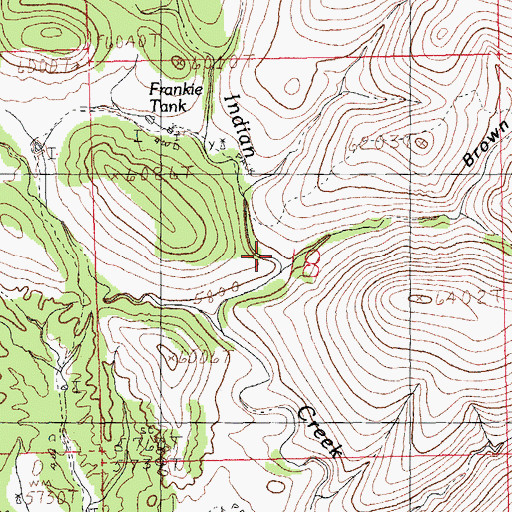 Topographic Map of Brown Canyon, NM