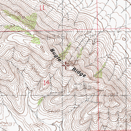 Topographic Map of Bugle Ridge, NM