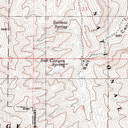 Topographic Map of Salt Canyon Spring, NM