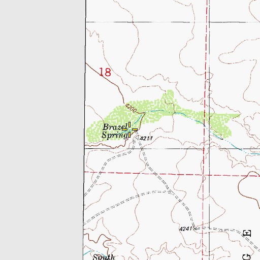 Topographic Map of Brazel Spring, NM