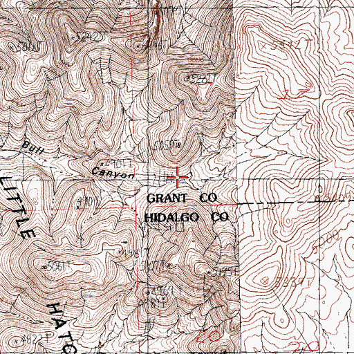 Topographic Map of Bull canyon, NM