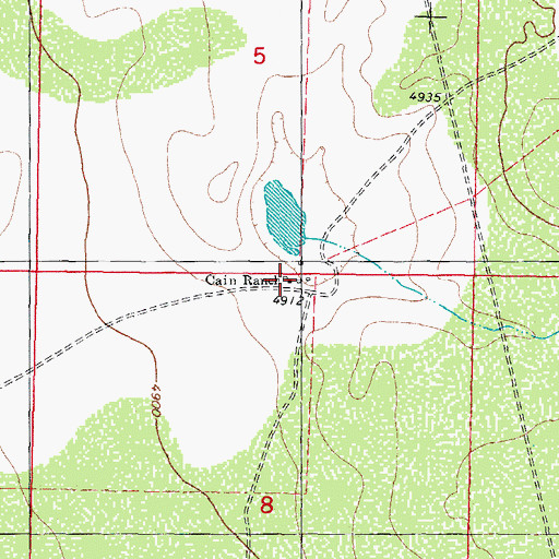 Topographic Map of Cain Ranch, NM