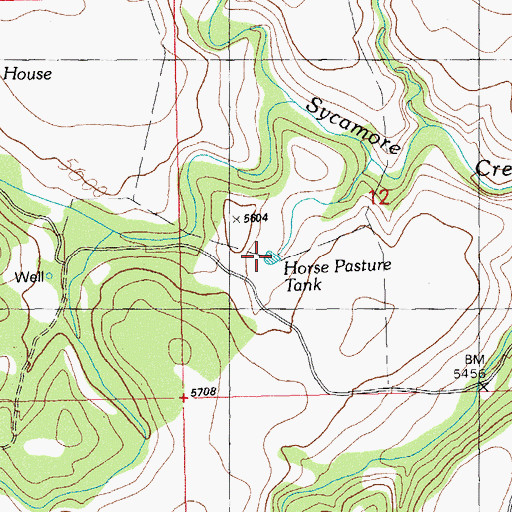 Topographic Map of Horse Pasture Tank, NM