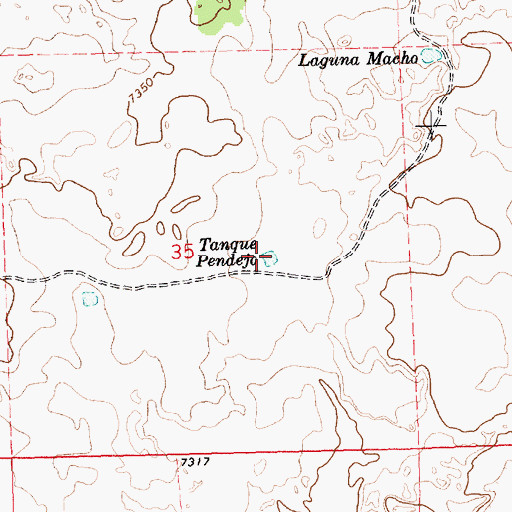 Topographic Map of Tanque Pendejo, NM
