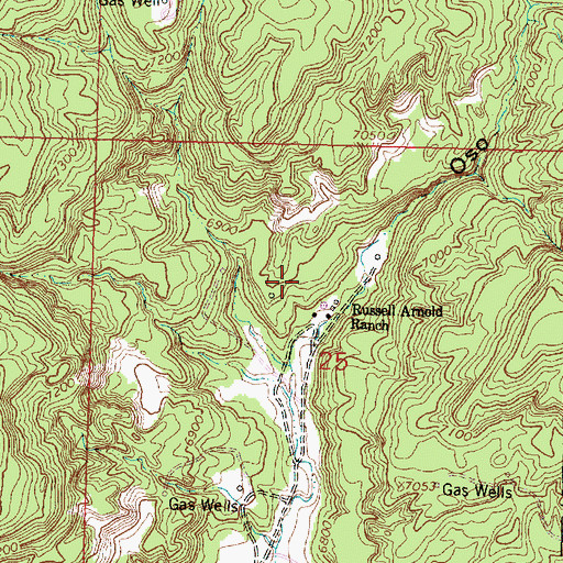 Topographic Map of Arnold Ranch Spring, NM