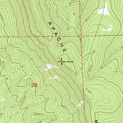 Topographic Map of Apache Mountain, NM