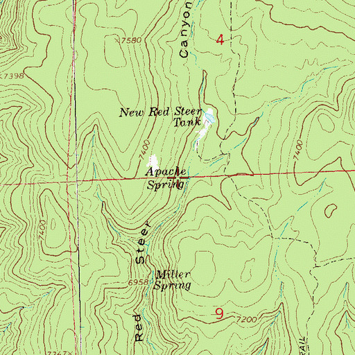 Topographic Map of Apache Spring, NM