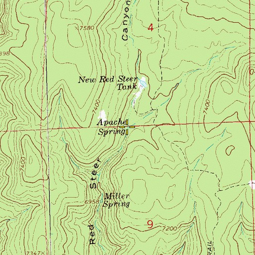 Topographic Map of Apache Spring, NM