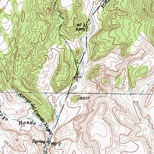 Topographic Map of Arroyo las Tunas, NM