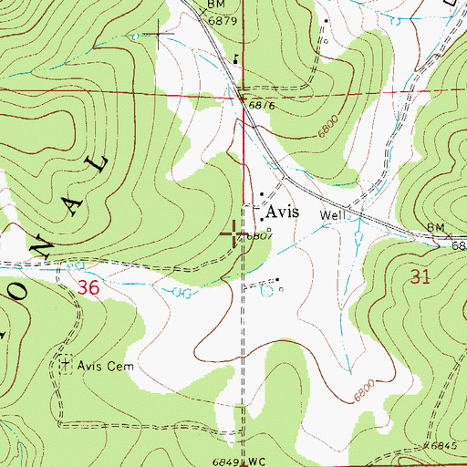 Topographic Map of Avis, NM