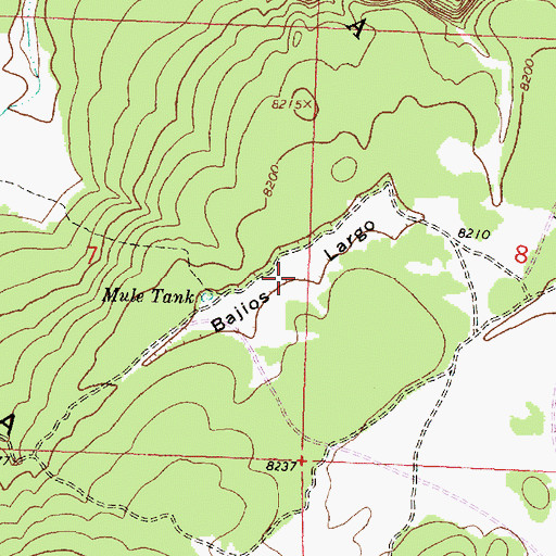 Topographic Map of Bajios Largo, NM