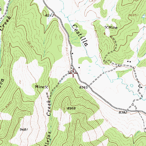 Topographic Map of Ballejas Creek, NM