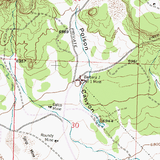 Topographic Map of Barbara J Number 1 Mine, NM