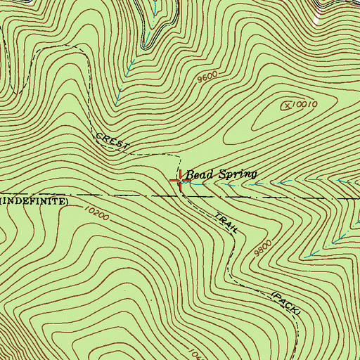 Topographic Map of Bead Spring, NM