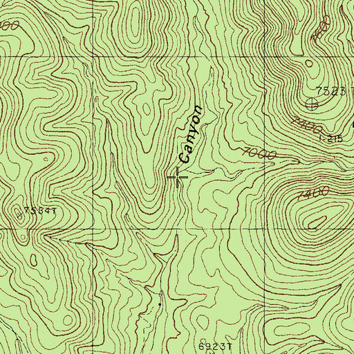 Topographic Map of Bear Canyon, NM