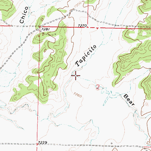 Topographic Map of Bear Canyon, NM