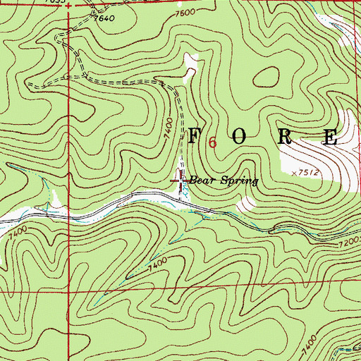 Topographic Map of Bear Spring, NM