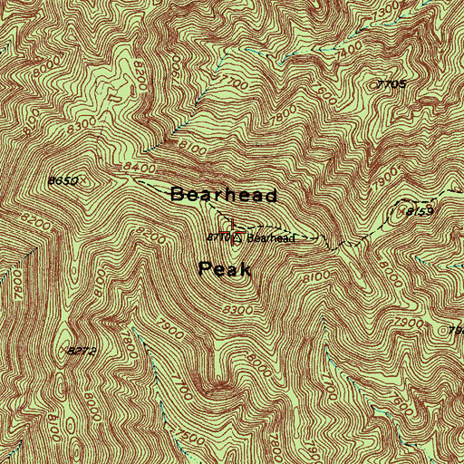 Topographic Map of Bearhead Peak, NM